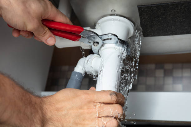 Best Mold removal after water damage  in Talty, TX