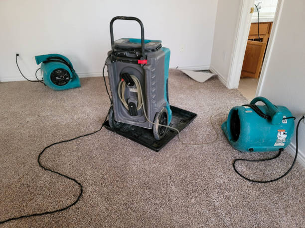 Best Residential water damage restoration  in Talty, TX