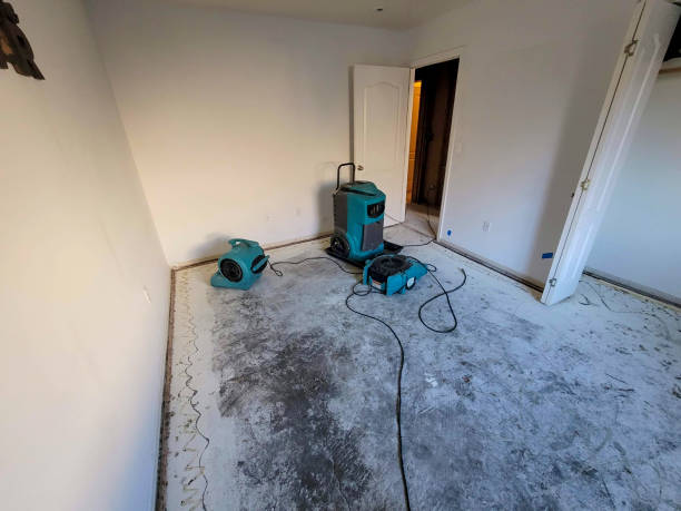 Best Water damage contractors near me  in Talty, TX