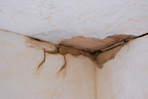 Best Ceiling water damage repair  in Talty, TX