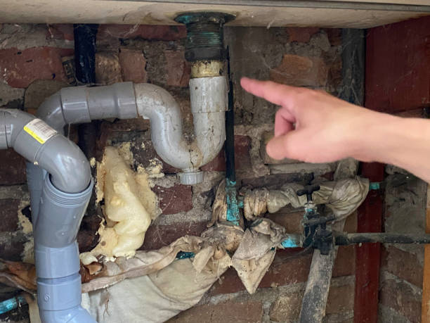 Best 24/7 water damage repair  in Talty, TX