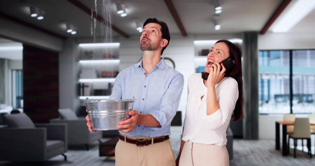 Best Water damage cleanup near me  in Talty, TX