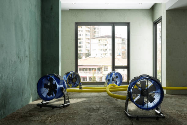 Best Local water damage restoration  in Talty, TX